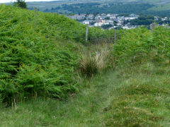 
Cwmbyrgwm Colliery, Tramway to York Place level, June 2013